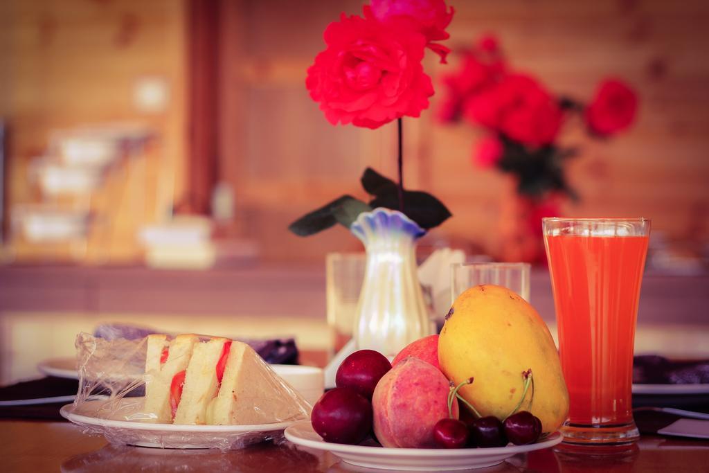 Vivaan The Sunrise Resort Manāli Εξωτερικό φωτογραφία